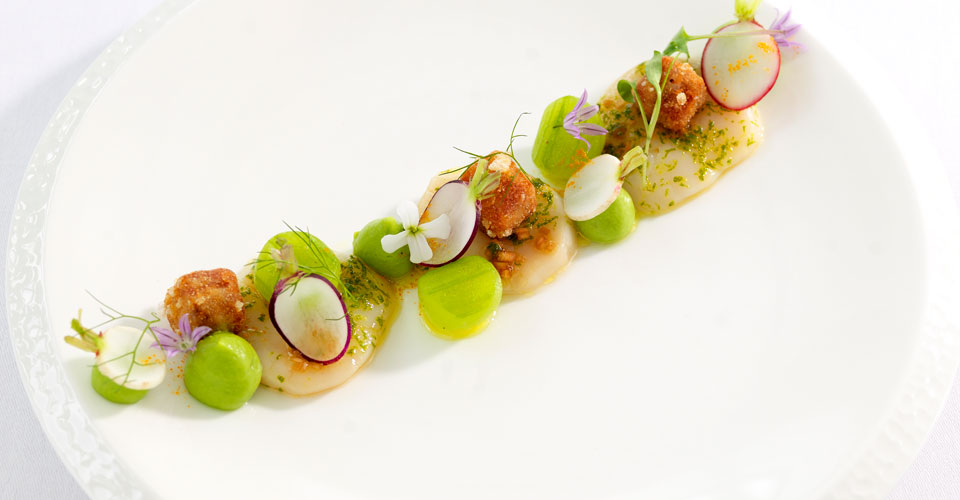 Devonshire---Scallops-Dish-Devonshire-Arms-Boutique-hotel-in-Yorkshire-review-by-les-Deux-Messieurs-luxury-gay-travel