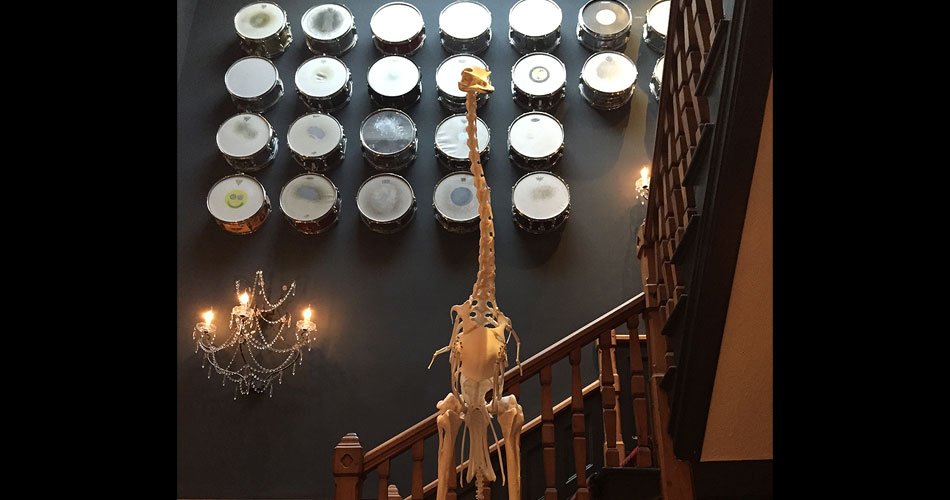 Ostrich-skeleton-and-snaredrum-wall